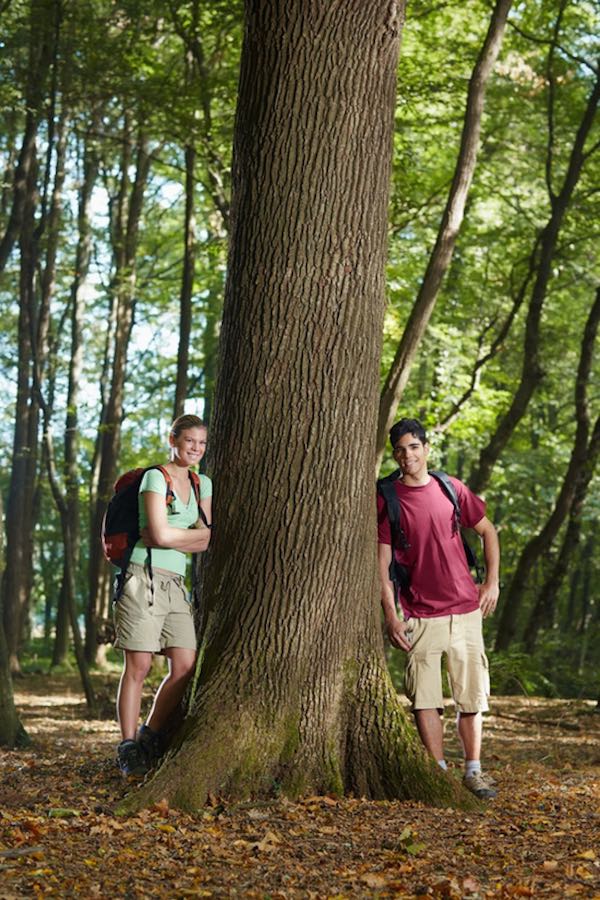 two walkers on a guided walk in dorest woodland rest against a large tree rtunk